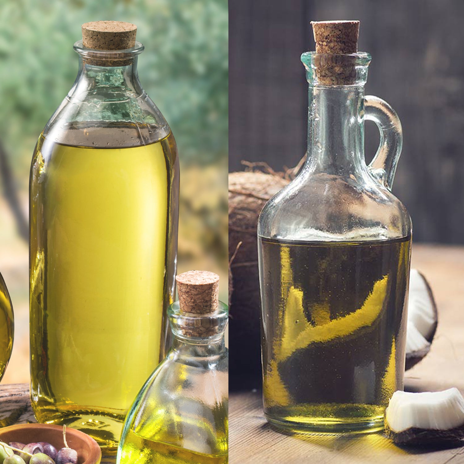 Battle of the Fats: Coconut vs Olive Oil